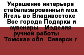 Украшение интерьера стабилизированный мох Ягель во Владивостоке - Все города Подарки и сувениры » Изделия ручной работы   . Томская обл.,Северск г.